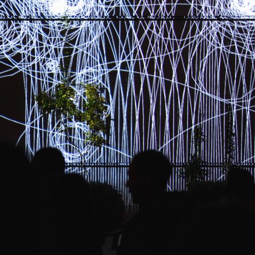 FLORA by Philipp Artus © Julian Tatzl for Klanglicht 2024_0069