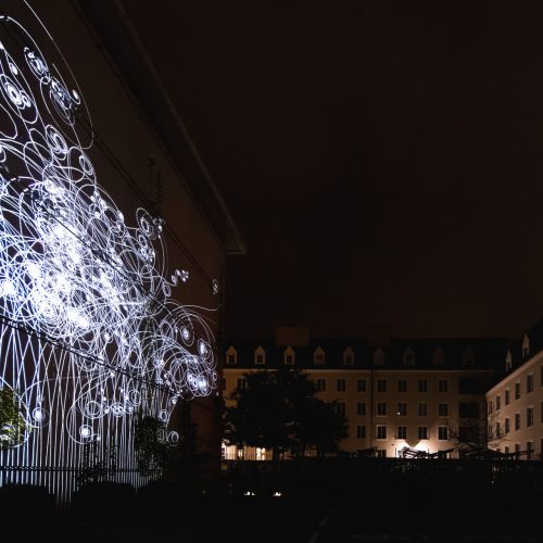 FLORA by Philipp Artus © Julian Tatzl for Klanglicht 2024_0075