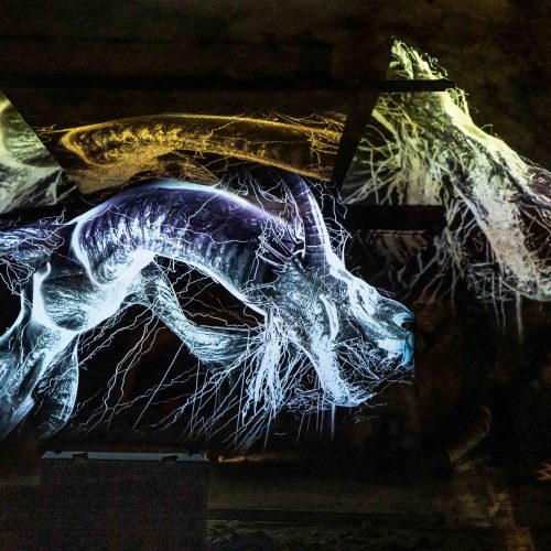 THE DRAGON’S CAVE by Joschua Hohenbrink_(C)KANIZAJ photography for Klanglicht 2025_160_26 WEB